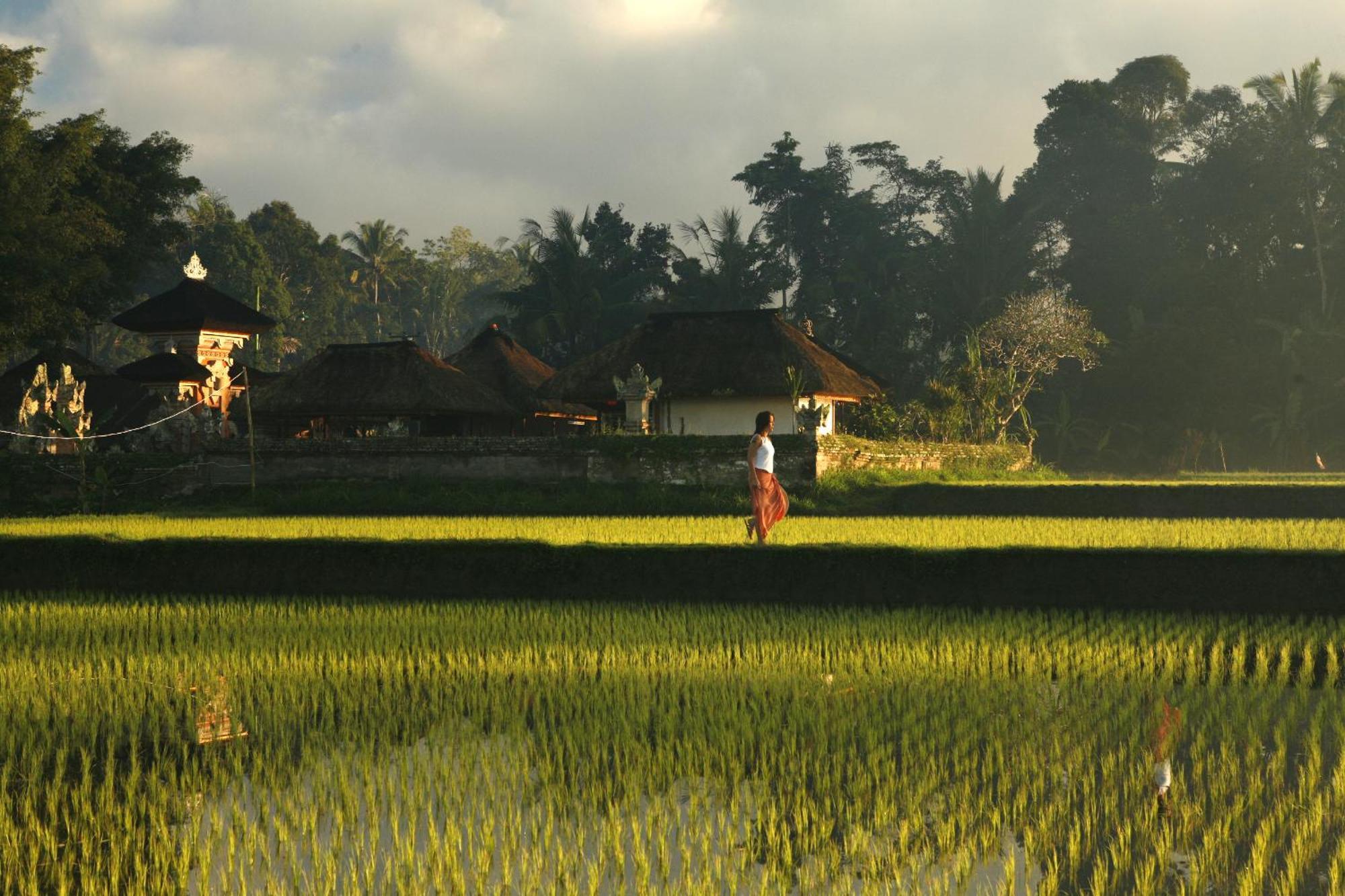 Kayumanis Ubud Private Villas & Spa Zařízení fotografie